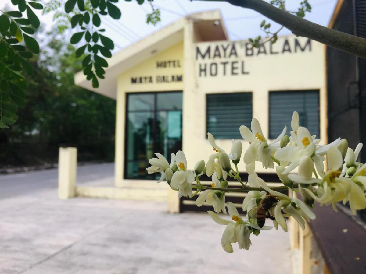 Hotel Maya Balam Xpujil Luaran gambar